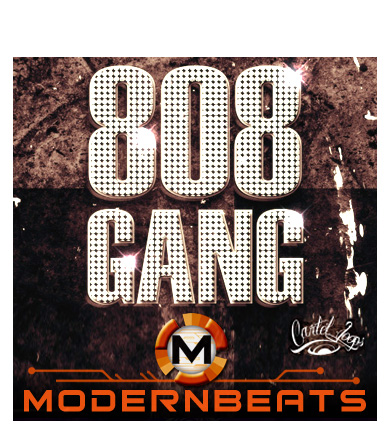 808 Gang Loops 808 Gang Loops