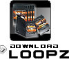 Download Loops